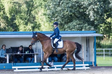 Bild 253 - Pony Akademie Turnier